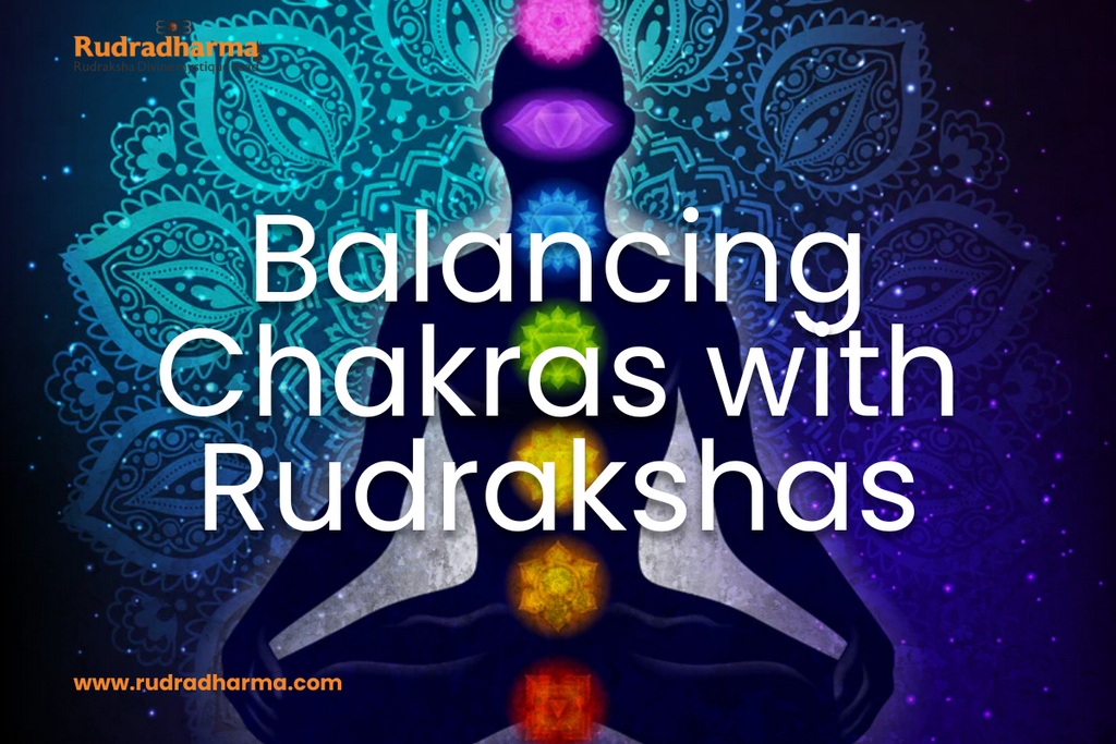 Chakra Harmony: Harnessing the Power of Rudraksha Beads | Rudradharma