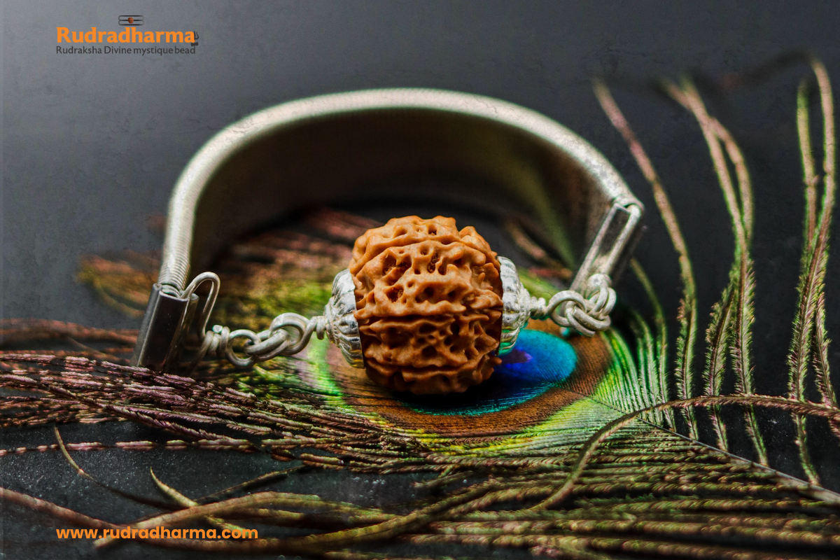 Rudraksha : Divine Mystique Bead