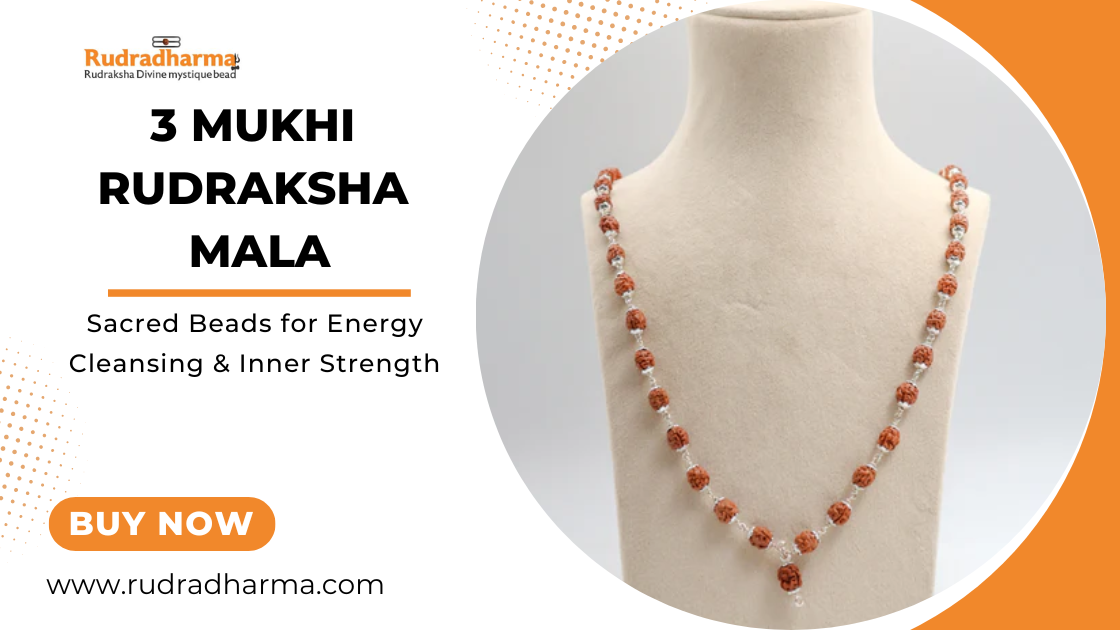 3 Mukhi Rudraksha Mala