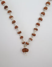14 Mukhi Rudraksha Mala