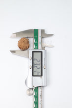 16 Mukhi Nepali Rudraksha