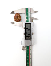 16 Mukhi Nepali Rudraksha