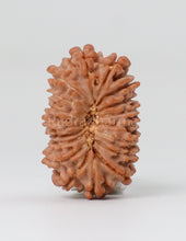 18 Mukhi Nepali Rudraksha