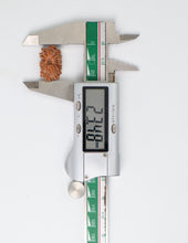 18 Mukhi Nepali Rudraksha