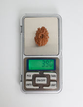 19 Mukhi Nepal Rudraksha