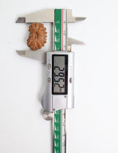 19 Mukhi Nepal Rudraksha