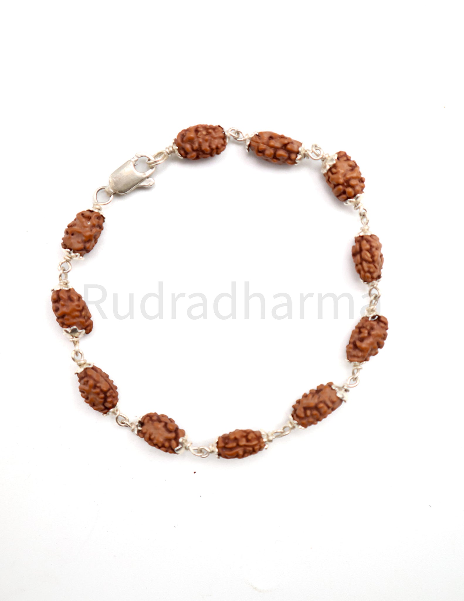 2 Mukhi Rudraksha Bracelet