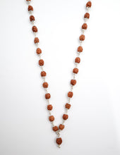 3 Mukhi Rudraksha Mala Purification and Energy