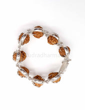 Authentic Original Gauri Shankar Rudraksha Bracelet in India