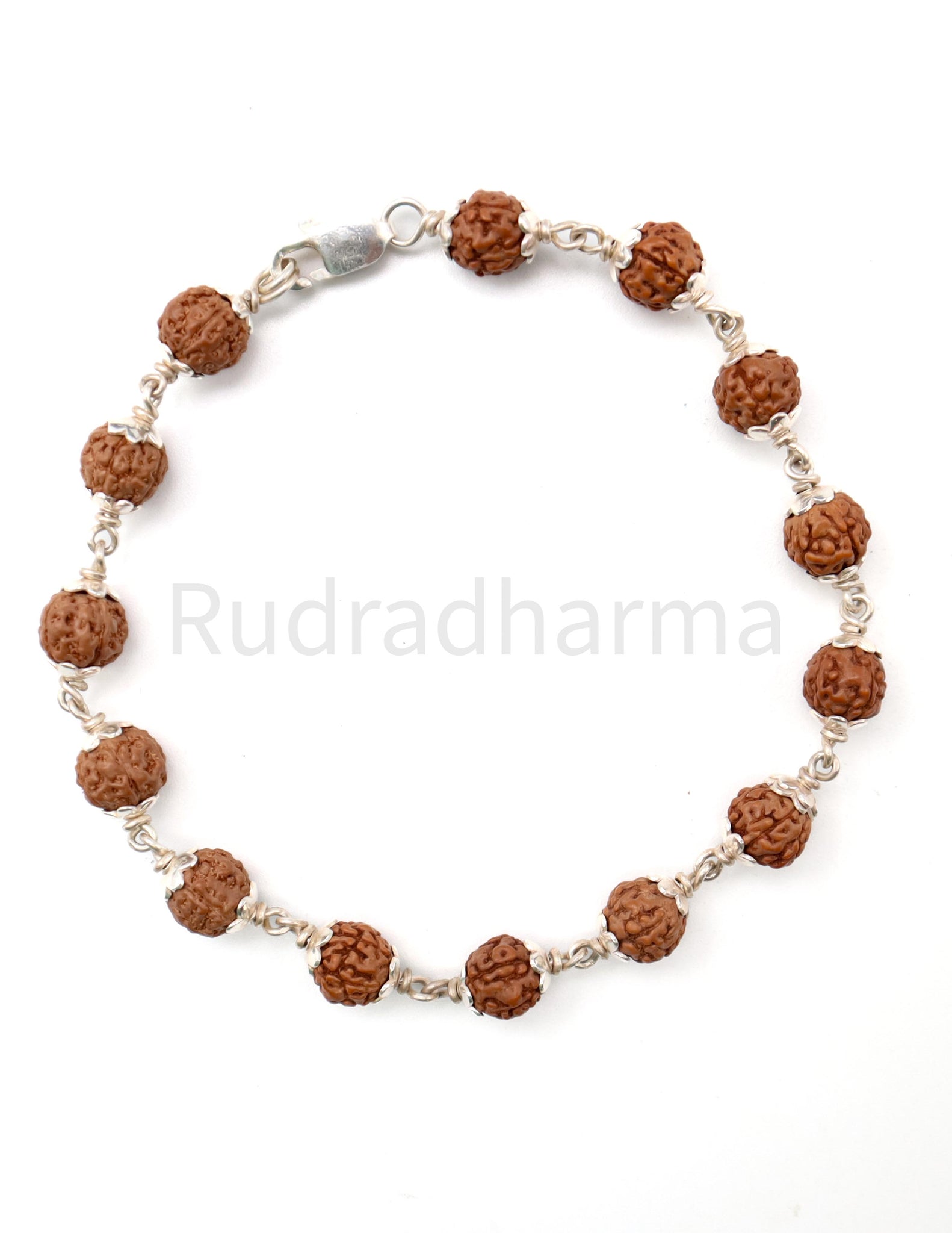 6 Mukhi Rudraksha Bracelet