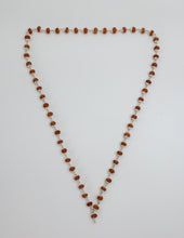  6 Mukhi Rudraksha becomes a skilled speaker, experiencing increased confidence