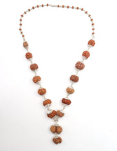  2 Mukhi to 14 Mukhi Rudraksha