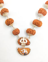 2 Mukhi Rudraksha 