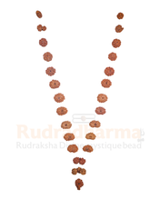Indra Mala - 1 Mukhi to 21 Mukhi Rudraksha Mala