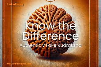 8 Mukhi Nepali Rudraksha