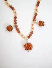 3 Mukhi Rudraksha (Nepal)