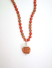 8 Mukhi Rudraksha