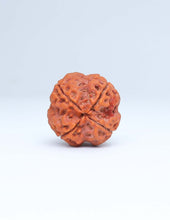 Buy Online 4 Mukhi Nepali Rudraksha