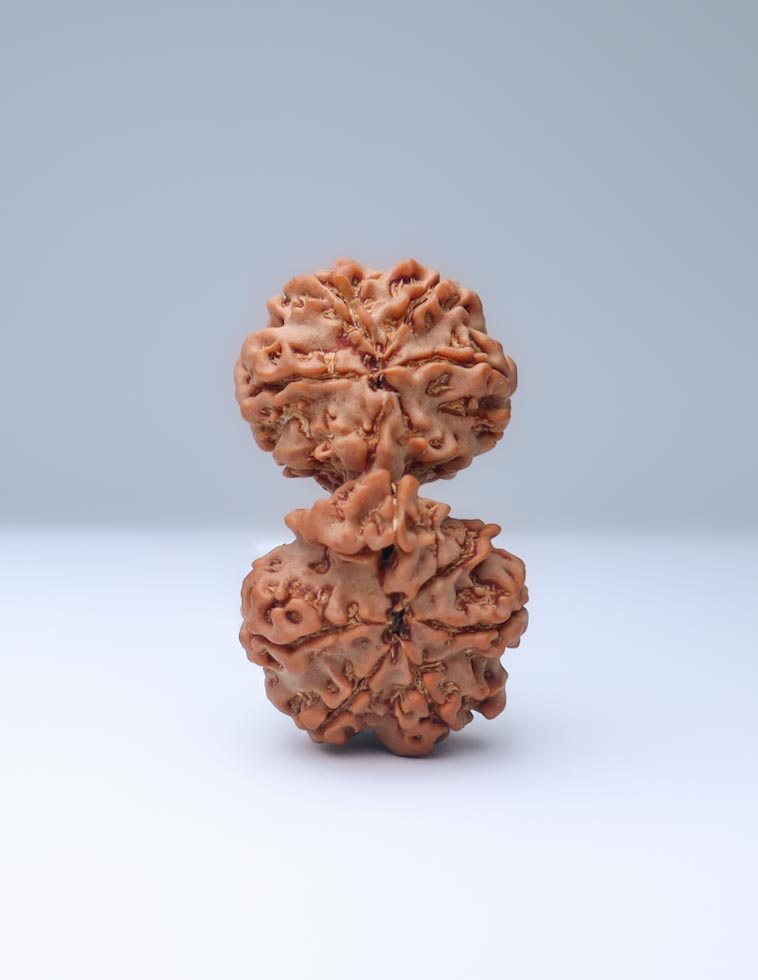 Gauri Shankar 9 Mukhi Nepali Rudraksha