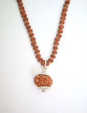 9 mukhi rudraksha